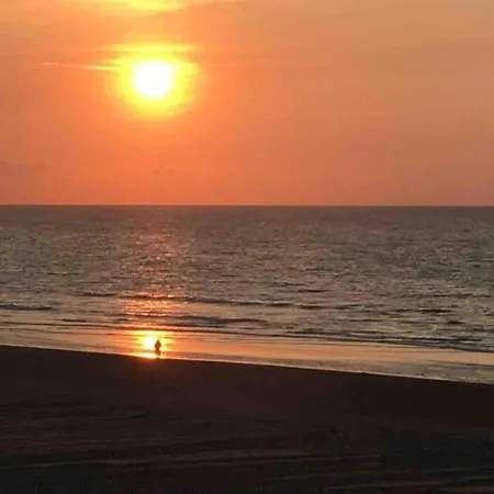 Near Zeedijk Koksijde