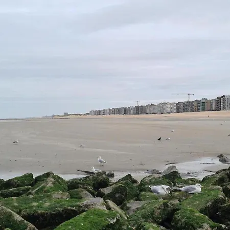 Apartment Campanula Gv03g Near The Sea And Center Of Town Koksijde